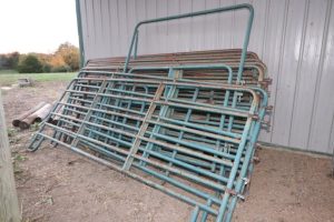 Round Pen With Ride Through Gate